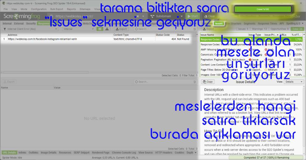 Screaming_Frog_site sorunları_Issues_ayrıntılar