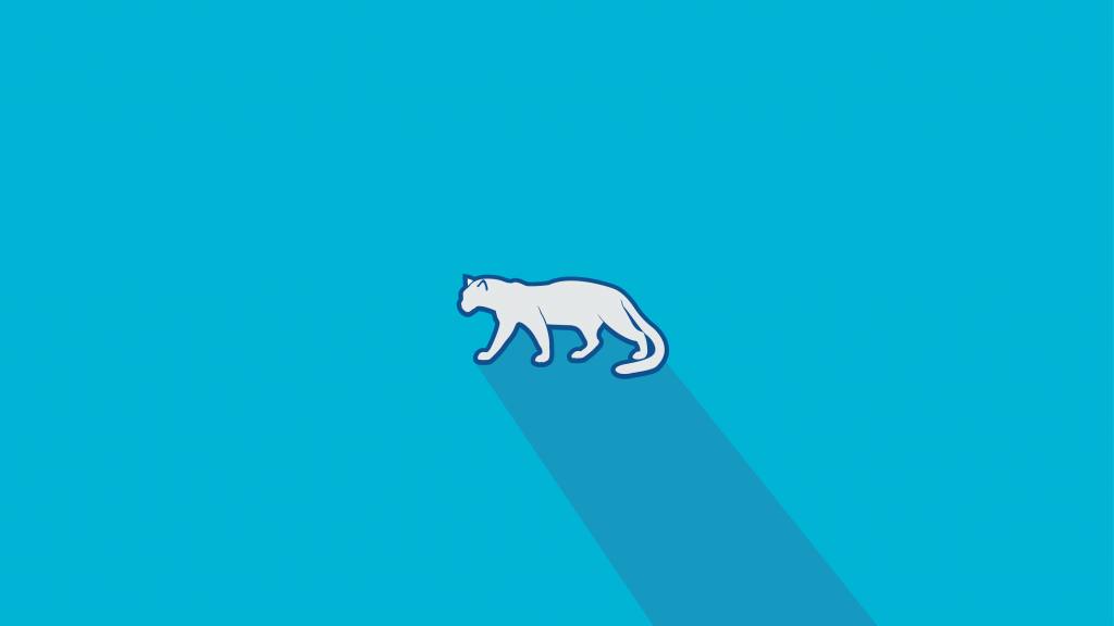 Pardus'a geçiş (Linux) 9 pardus duvarka 01